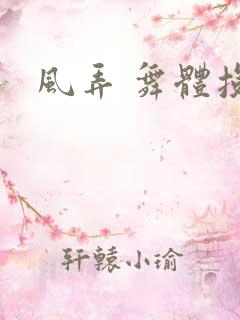 风弄 舞体投递