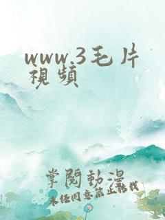 www.3毛片视频