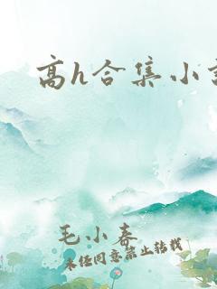 高h合集小说