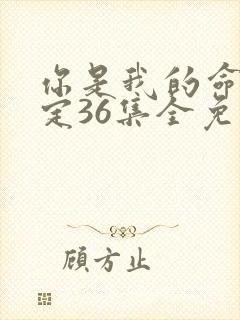 你是我的命中注定36集全免费观看