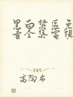 黑白禁区免费观看全集电视剧结