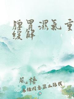 脾胃湿气重怎么缓解