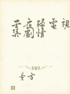 子夜归电视剧全集剧情