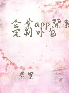 企业app开发定制外包