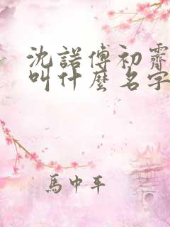 沈诺傅初霁小说叫什么名字