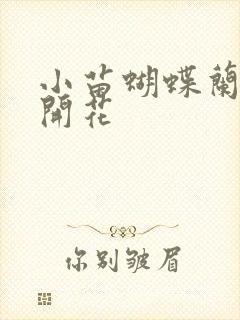 小苗蝴蝶兰几年开花