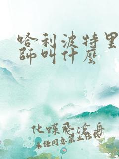 哈利波特里魔法师叫什么