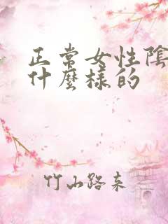 正常女性阴道是什么样的