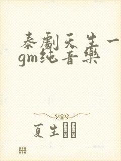 泰剧天生一对bgm纯音乐