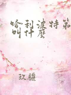 哈利波特第四部叫什么