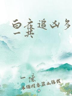 白夜追凶多少集一共