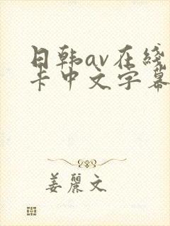 日韩av在线不卡中文字幕