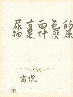 尿有白色的沉淀物是什么原因
