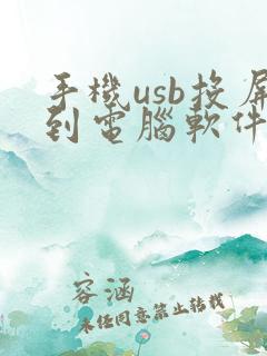 手机usb投屏到电脑软件