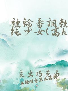 被轮番调教的清纯少女(高h