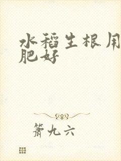 水稻生根用什么肥好