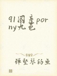 91国产porny九色