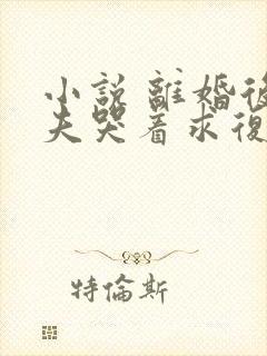 小说 离婚后前夫哭着求复婚