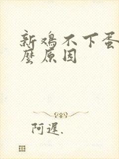 新鸡不下蛋是什么原因