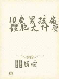 10岁男孩扁桃体肥大什么程度做手术