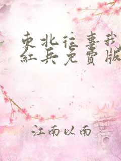东北往事我叫赵红兵免费版观看