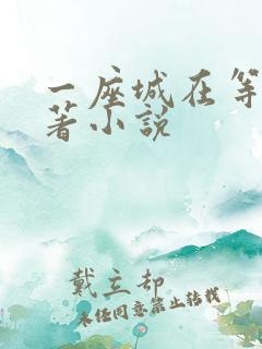 一座城在等你原著小说