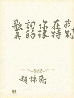 歌词你在我眼中真的很特别