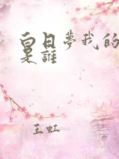 白日梦我的作者是谁