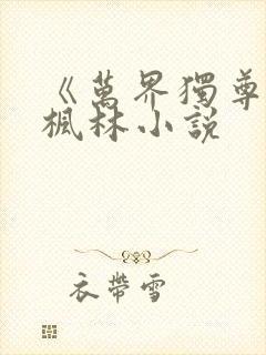《万界独尊》林枫林小说