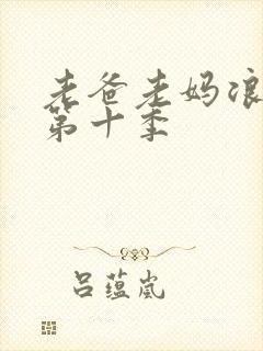 老爸老妈浪漫史第十季