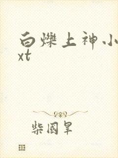 白烁上神小说txt
