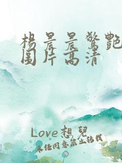 杨晨晨惊艳美女图片高清