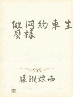 做网约车生意怎么样