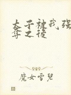 太子被我强取豪夺之后