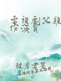 电视剧父亲的身份演员