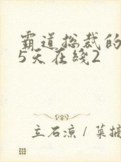 霸道总裁的365天在线2