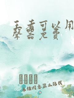 王者可以用的变声器免费