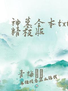 神墓全本txt精校版