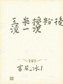 玉米授粉后几天浇一次
