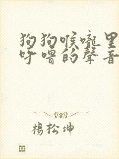 狗狗喉咙里呼噜呼噜的声音