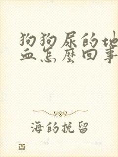 狗狗尿的地方有血怎么回事