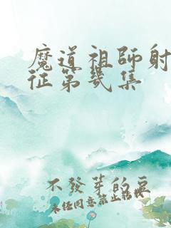 魔道祖师射日之征第几集