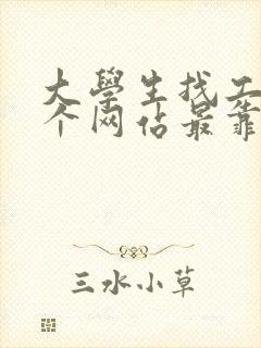 大学生找工作哪个网站最靠谱