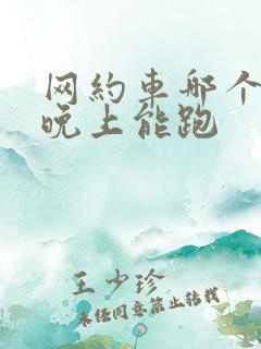 网约车哪个平台晚上能跑
