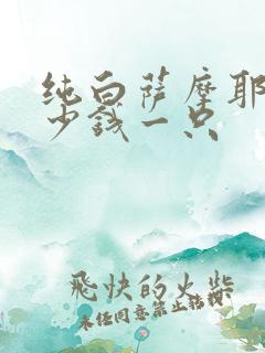 纯白萨摩耶犬多少钱一只