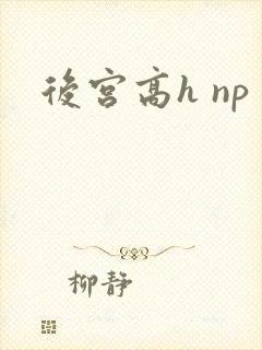 后宫高h np