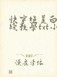 快穿绝美白莲在线教学txt小说
