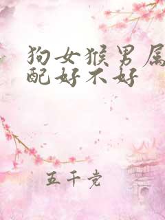 狗女猴男属相婚配好不好