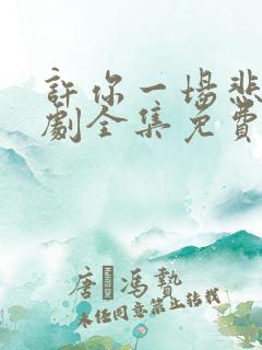 许你一场悲欢短剧全集免费