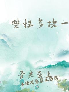 双性多攻一受
